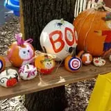 Curtis Orchard & Pumpkin Patch photo