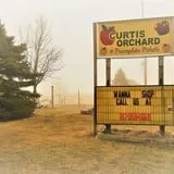 Curtis Orchard & Pumpkin Patch photo