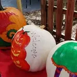 Curtis Orchard & Pumpkin Patch photo