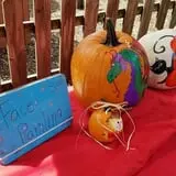 Curtis Orchard & Pumpkin Patch photo