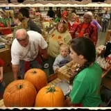 Curtis Orchard & Pumpkin Patch photo