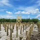 Curtis Orchard & Pumpkin Patch photo