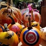 Curtis Orchard & Pumpkin Patch photo