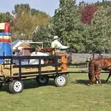 Curtis Orchard & Pumpkin Patch photo