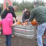 Curtis Orchard & Pumpkin Patch photo