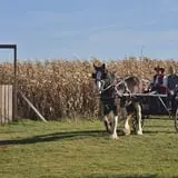 Curtis Orchard & Pumpkin Patch photo