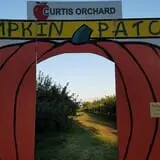 Curtis Orchard & Pumpkin Patch photo