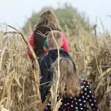 Curtis Orchard & Pumpkin Patch photo