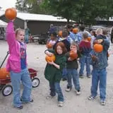 Curtis Orchard & Pumpkin Patch photo