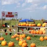 Pumpkin Town Farms photo