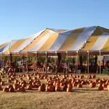 Pumpkin Town Farms photo