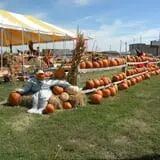 Pumpkin Town Farms photo