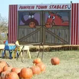 Pumpkin Town Farms photo
