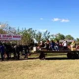 Pumpkin Town Farms photo