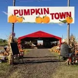 Pumpkin Town Farms photo