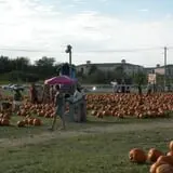 Pumpkin Town Farms photo