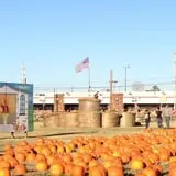 Pumpkin Town Farms photo
