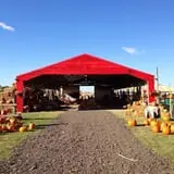 Pumpkin Town Farms photo