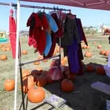 Pumpkin Town Farms photo