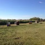 Pumpkin Town Farms photo