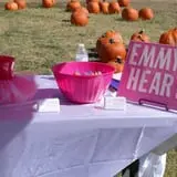 Pumpkin Town Farms photo