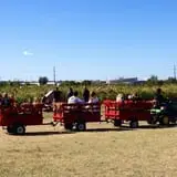 Pumpkin Town Farms photo