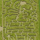 Pumpkin Town Farms photo