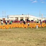 Pumpkin Town Farms photo