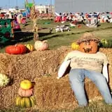 Pumpkin Town Farms photo
