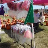 Pumpkin Town Farms photo