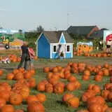 Pumpkin Town Farms photo
