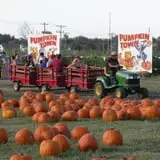 Pumpkin Town Farms photo