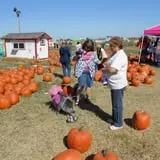 Pumpkin Town Farms photo