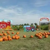 Pumpkin Town Farms photo