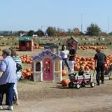 Pumpkin Town Farms photo