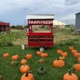 Pumpkin Town Farms photo