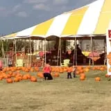 Pumpkin Town Farms photo