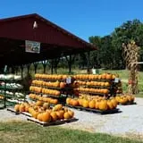 Hartman's Haunted Corn Maze & Zombie Paintball Hunting photo