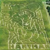 Hartman's Haunted Corn Maze & Zombie Paintball Hunting photo