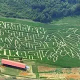 Hartman's Haunted Corn Maze & Zombie Paintball Hunting photo