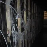 Ravenscroft Haunted Society Haunted House photo