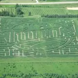 Be-A-Mazed Corn Maze photo
