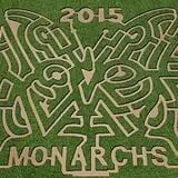 Be-A-Mazed Corn Maze photo