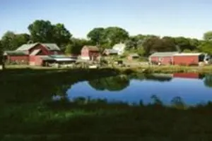 Belinsky Farm