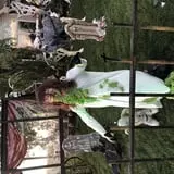 Glas’ cemetery  photo