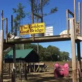 Gallberry Corn Maze photo