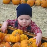 Gallberry Corn Maze photo
