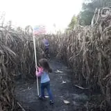 Gallberry Corn Maze photo