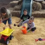 Gallberry Corn Maze photo