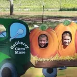 Gallberry Corn Maze photo